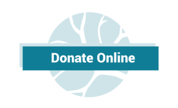 donate-online